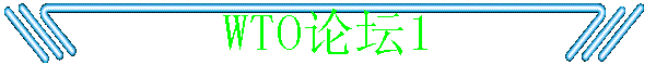 WTO̳1