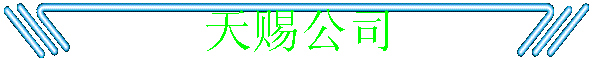 ͹˾